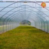 Folientunnel Agro 6x20