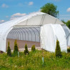 Folientunnel Agro 6x15