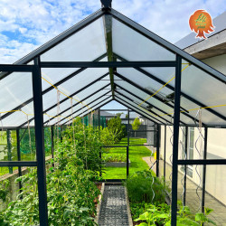 Gewächshaus Hybrid Aluminium Satteldach 2,2x2,9