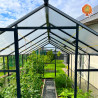 Gewächshaus Hybrid Aluminium Satteldach 2,2x2,9