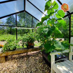 Gewächshaus Hybrid Aluminium Satteldach 2,2x2,9