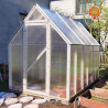 Gewächshaus Polycarbonat Holz Satteldach 2,1x4,1