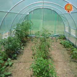 Gewächshaus Folientunnel Stahl Runddach 2x2