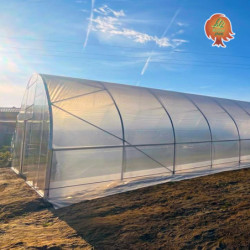 Folientunnel Igro 9m x 200m x 4,7m