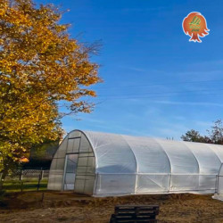 Folientunnel Igro 9m x 200m x 4,7m
