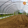 Folientunnel Igro 9m x 200m x 4,7m