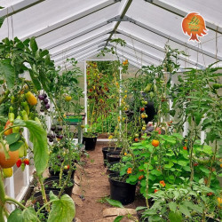 Gewächshaus Polycarbonat PVC Satteldach 2,1x2,7