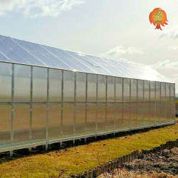 Gewächshaus Polycarbonat Stahl Satteldach Bernstein