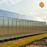 Gewächshaus Polycarbonat Stahl Satteldach Bernstein