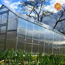 Gewächshaus Polycarbonat Stahl Satteldach Bernstein