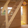 Ferienhaus Holz Satteldach Moorruh DIY
