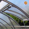 Fenster Gewächshaus Polycarbonat Stahl Runddach Perle