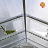 Doppelfenster Gewächshaus Polycarbonat PVC Satteldach Jade