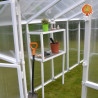 Regal Gewächshaus Polycarbonat PVC Satteldach Jade