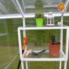 Regal Gewächshaus Polycarbonat PVC Satteldach Jade