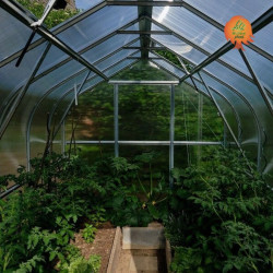 Gewächshaus Polycarbonat Stahl Gotikdach Citrin