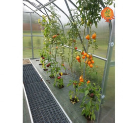 Gewächshaus Polycarbonat Stahl Gotikdach Citrin