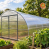 Gewächshaus Polycarbonat Stahl Runddach Topas