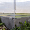 Gewächshaus Polycarbonat Stahl Runddach Onyx – Metallfundament