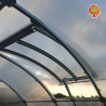 Fenster automatisch Gewächshaus Polycarbonat Stahl Runddach Perle