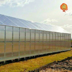 Gewächshaus Polycarbonat Stahl Satteldach 2,4x4,1