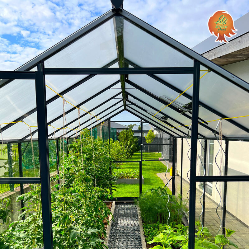 Gewächshaus Prisma – Dach aus 6 mm Polycarbonat